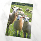 Gabphoto Linge à vaisselle Moutons 1a