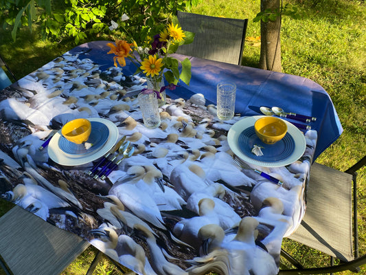 Gannet Colony Tablecloth 1 NP-061